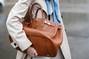 hermes-birkin-bag_0