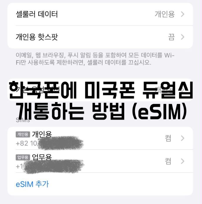 듀얼심 이용(eSIM) 기계 하나로 한국 미국 투넘버 쓰는 방법(2024)